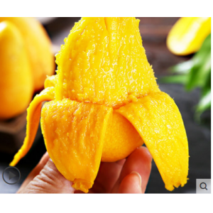 海南小台农芒果10斤新鲜热带水果应当季自然熟甜心芒果5整箱包邮